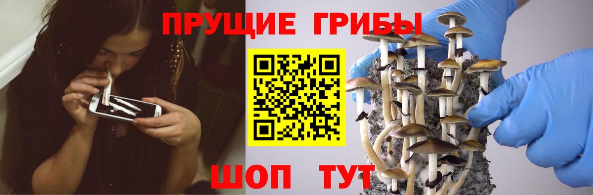Псилоцибиновые грибы мицелий  Вход с VPN  Лангепас  Псилоцибиновые грибы прущие грибы 